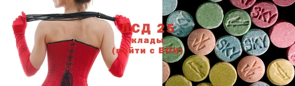 амф Новокубанск