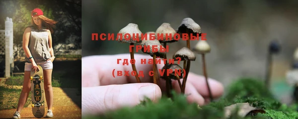 ешки Новодвинск