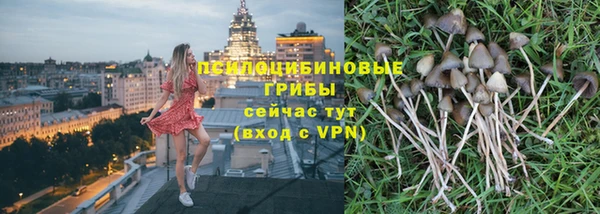 ешки Новодвинск