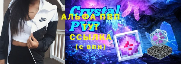 ешки Новодвинск