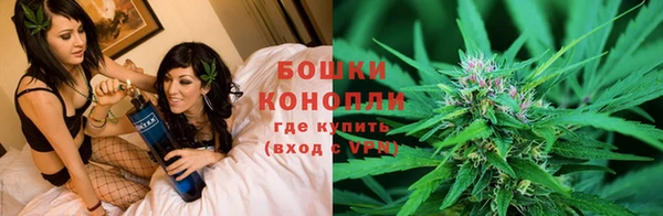 ешки Новодвинск