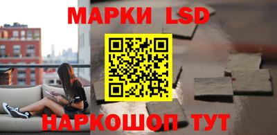 гидра Гатчина