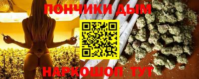 гидра Гатчина