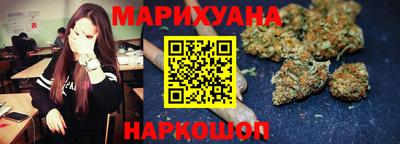 гидра Гатчина