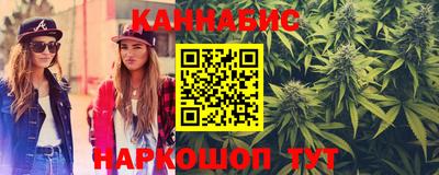 гидра Гатчина
