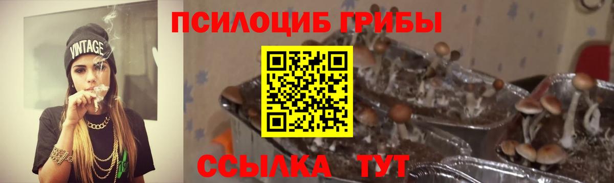 Псилоцибиновые грибы MAGIC MUSHROOMS  Вход с VPN  Куйбышев 